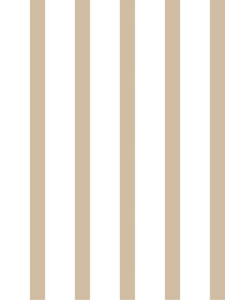 Beige Line